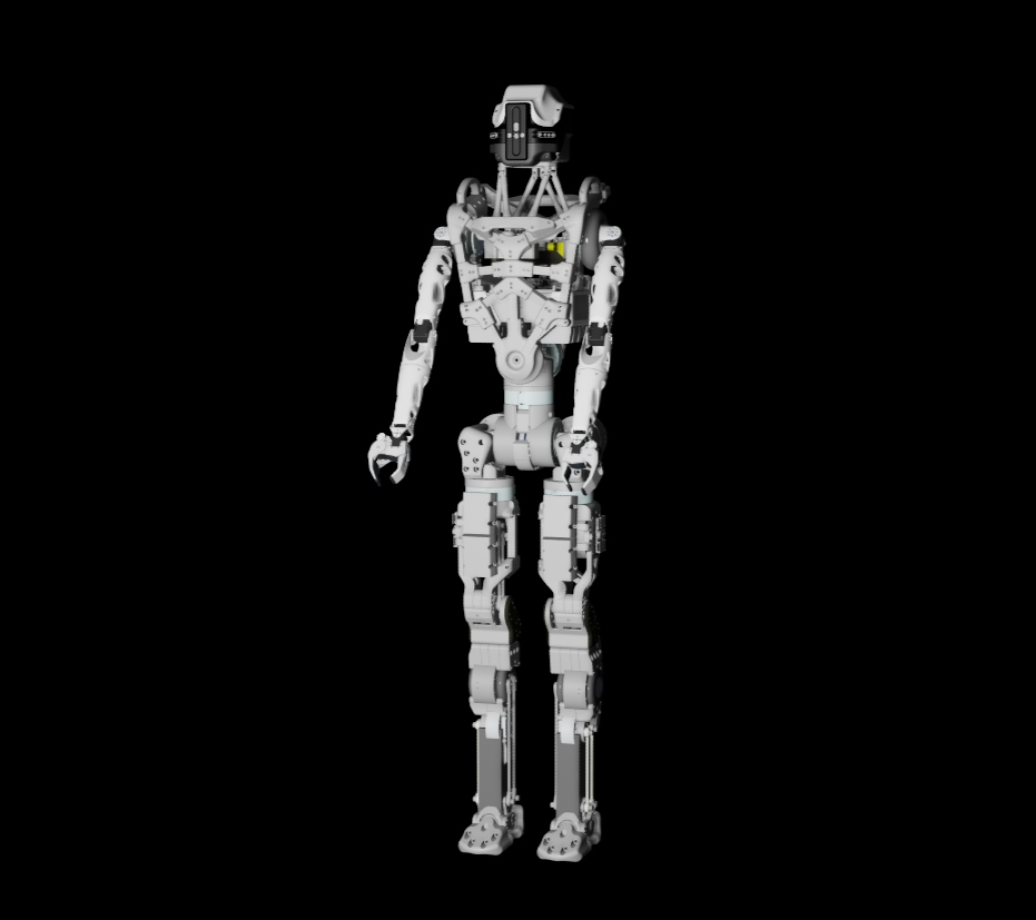 HUMANOIDS